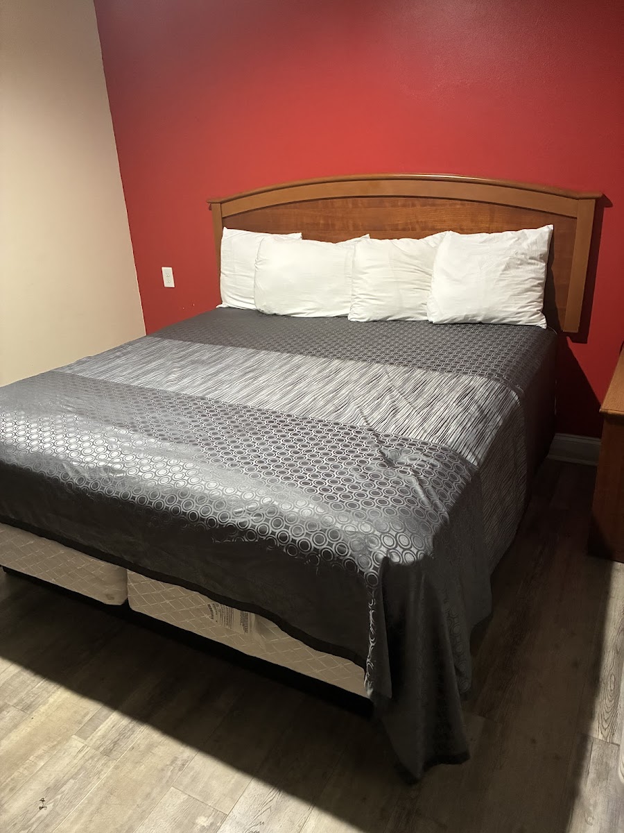 Star Motel photo 3