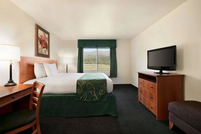 Oak Tree Inn photo 2