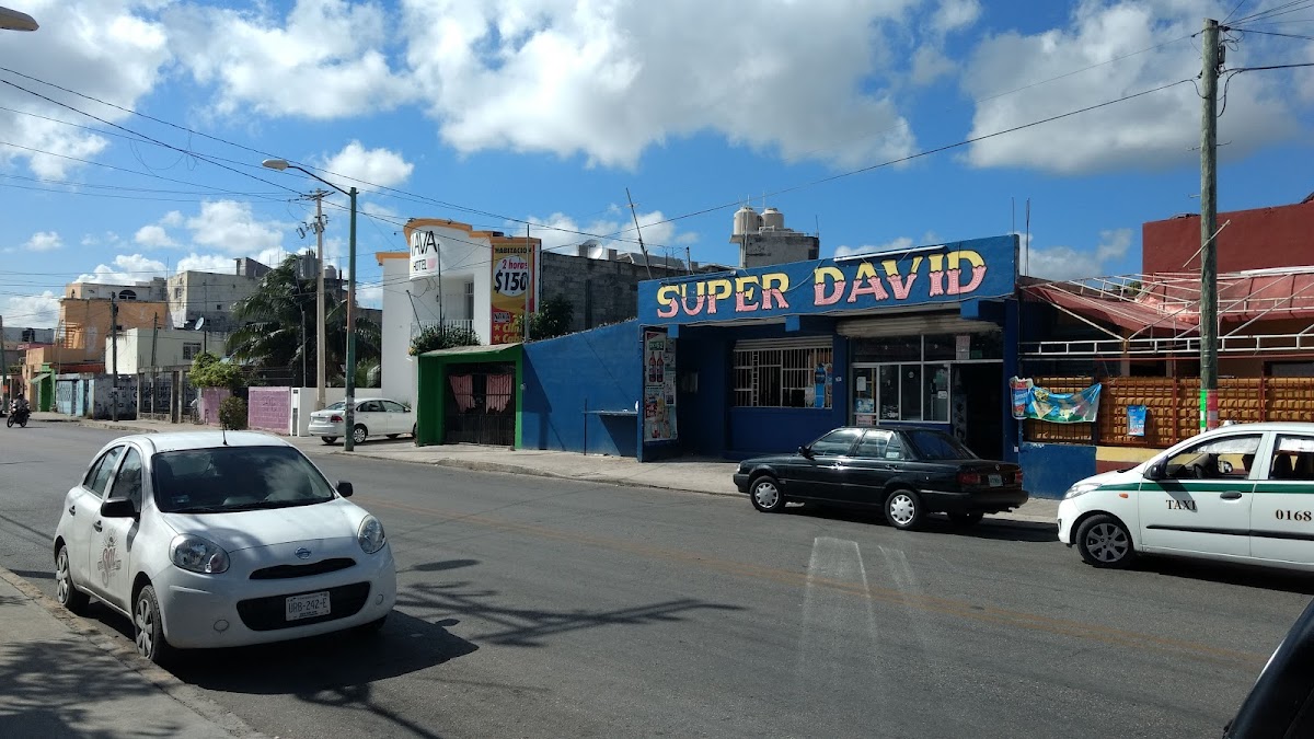 NAVA photo 2