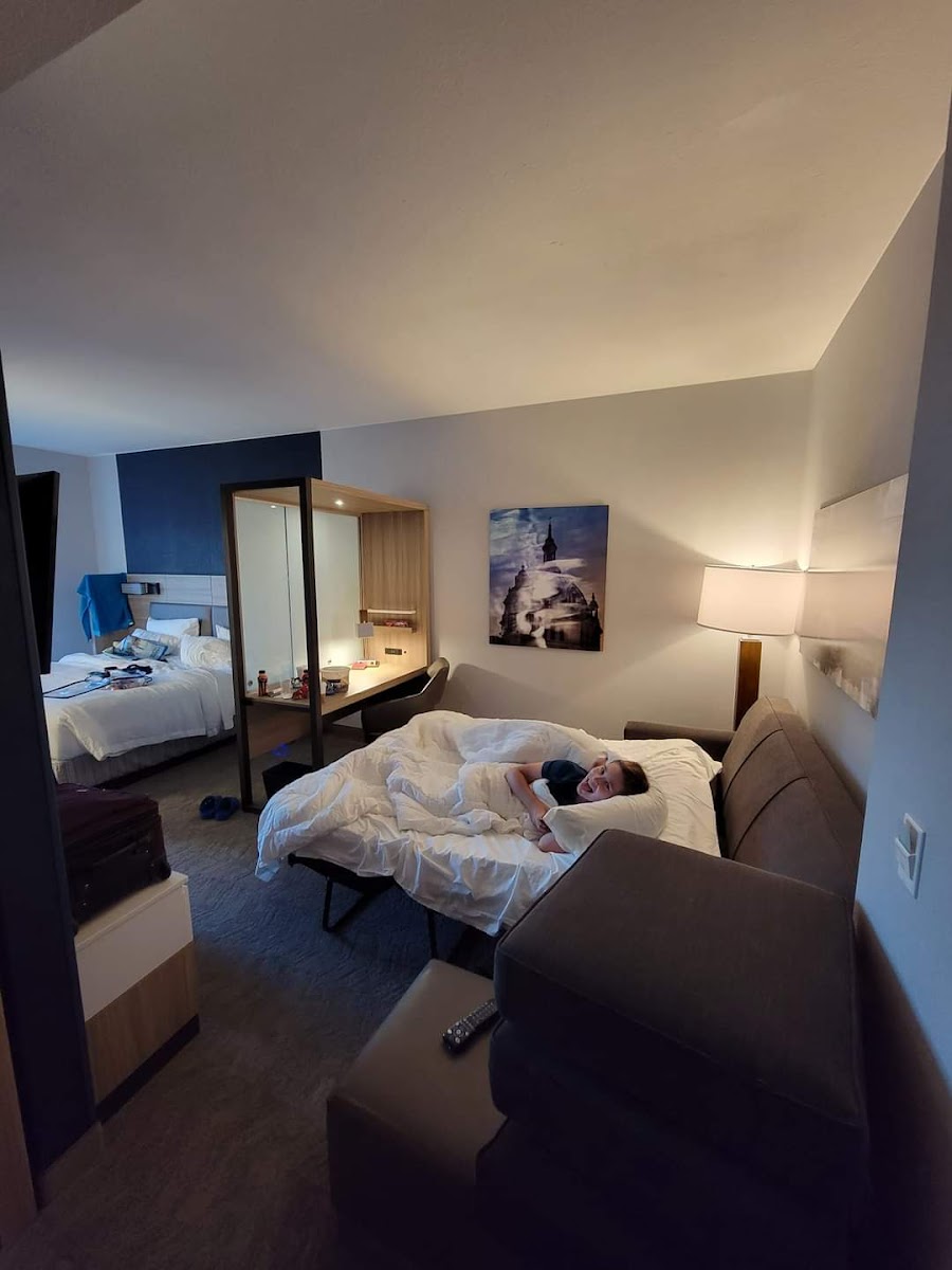 SpringHill Suites by Marriott St. Paul Downtown photo 2