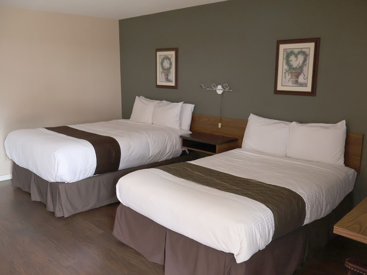 Siesta Motel photo 2