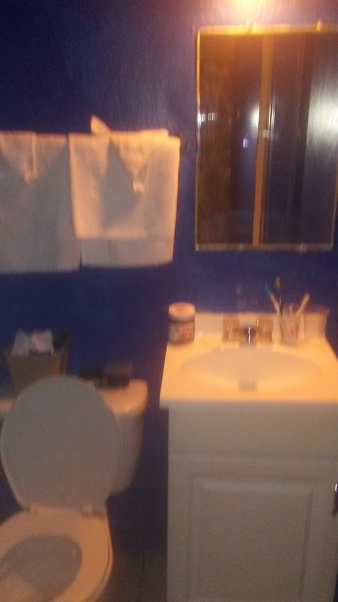 Royal Inn photo 2