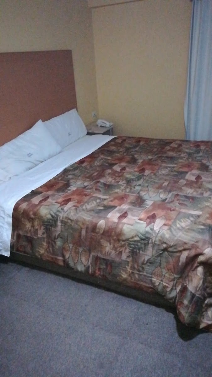 Motel Delicias photo 2