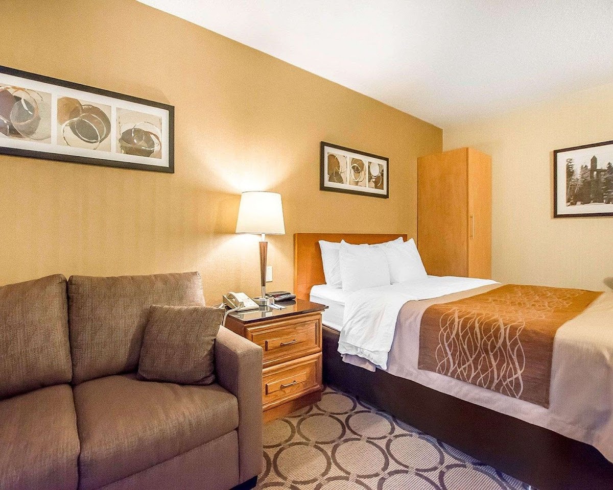 Comfort Inn photo 2