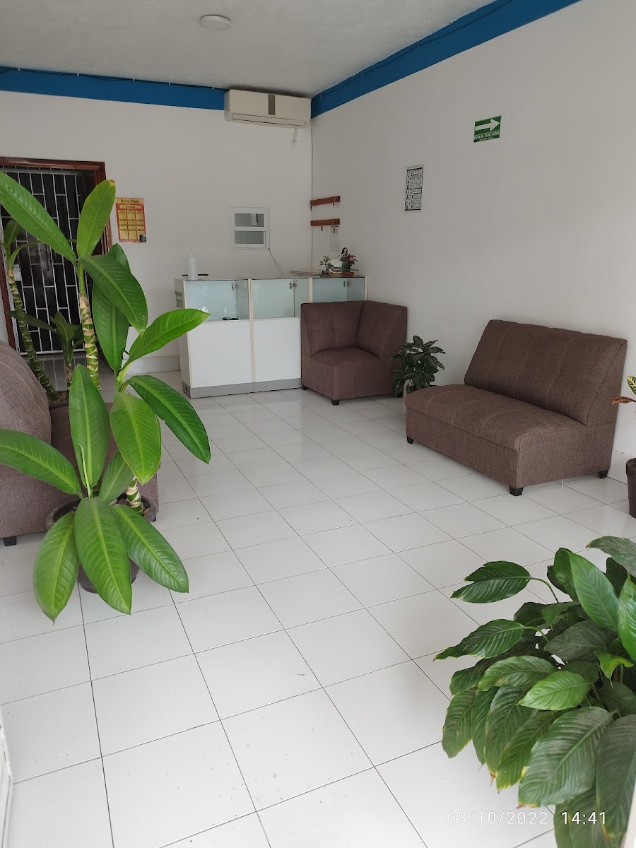 Hotel Plaza photo 3