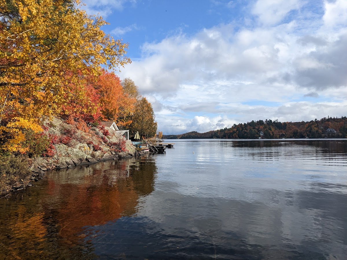 Trout Lake Resort photo 2