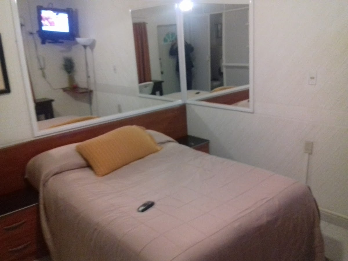 Hotel Alameda photo 3