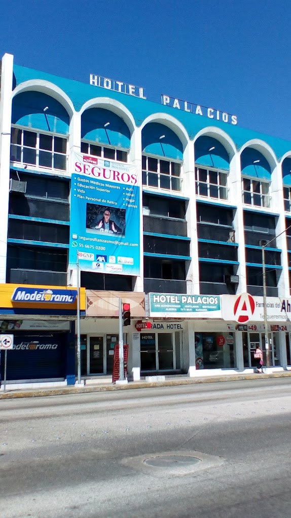Hotel Palacios