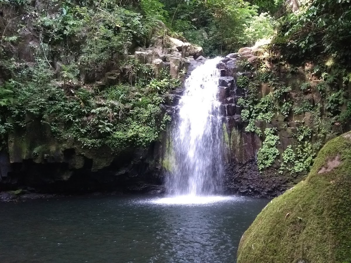 Reserva Ecológica Benito Juàrez