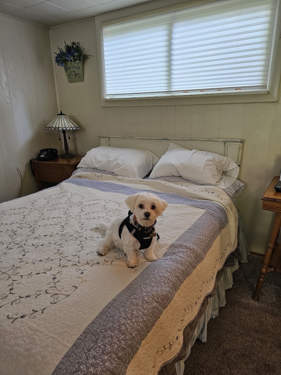 Colonial Motel photo 2