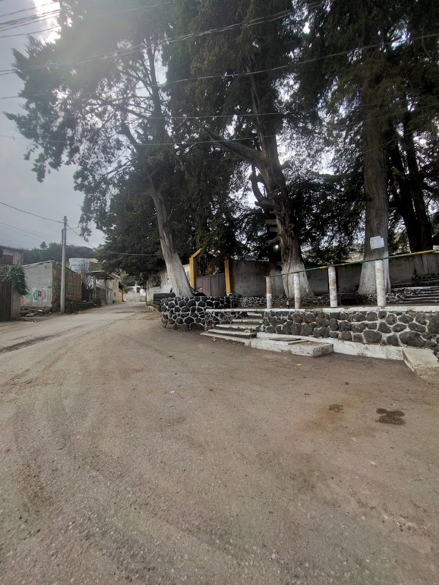 Los Cedros photo 3