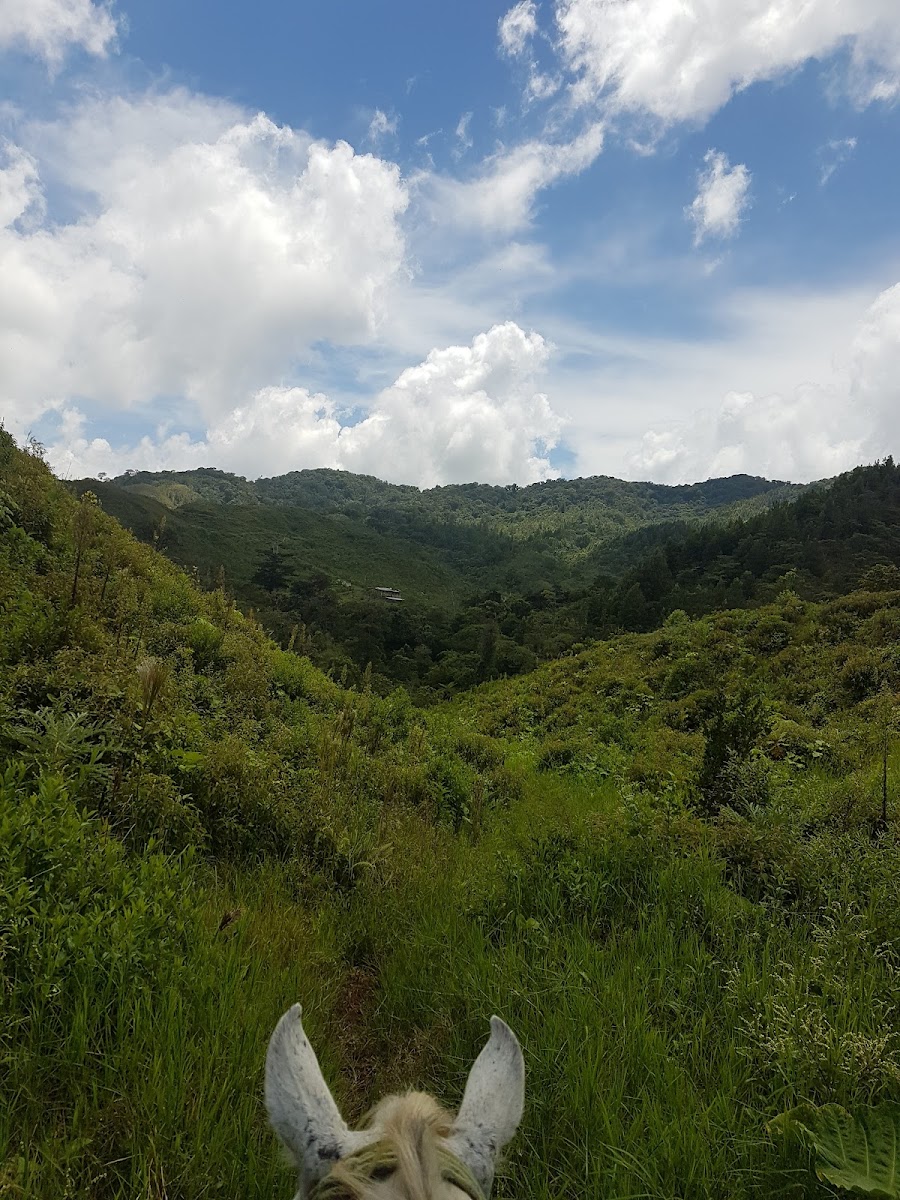 La otra opcion A.C. reserva ecologia