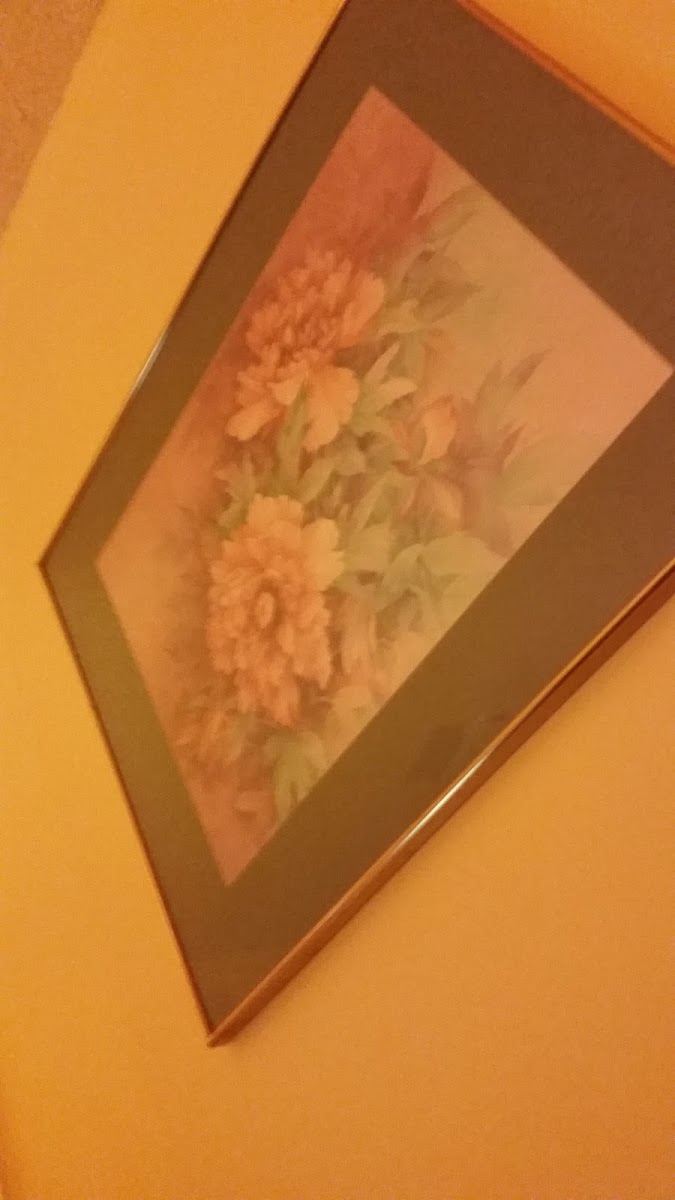 Country Club Inn photo 3
