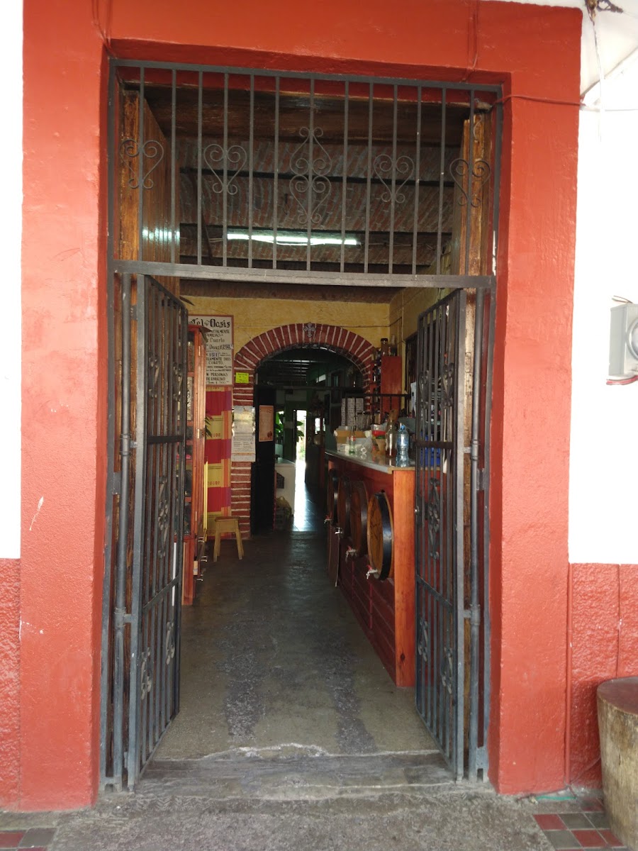 Hotel Oasis photo 2