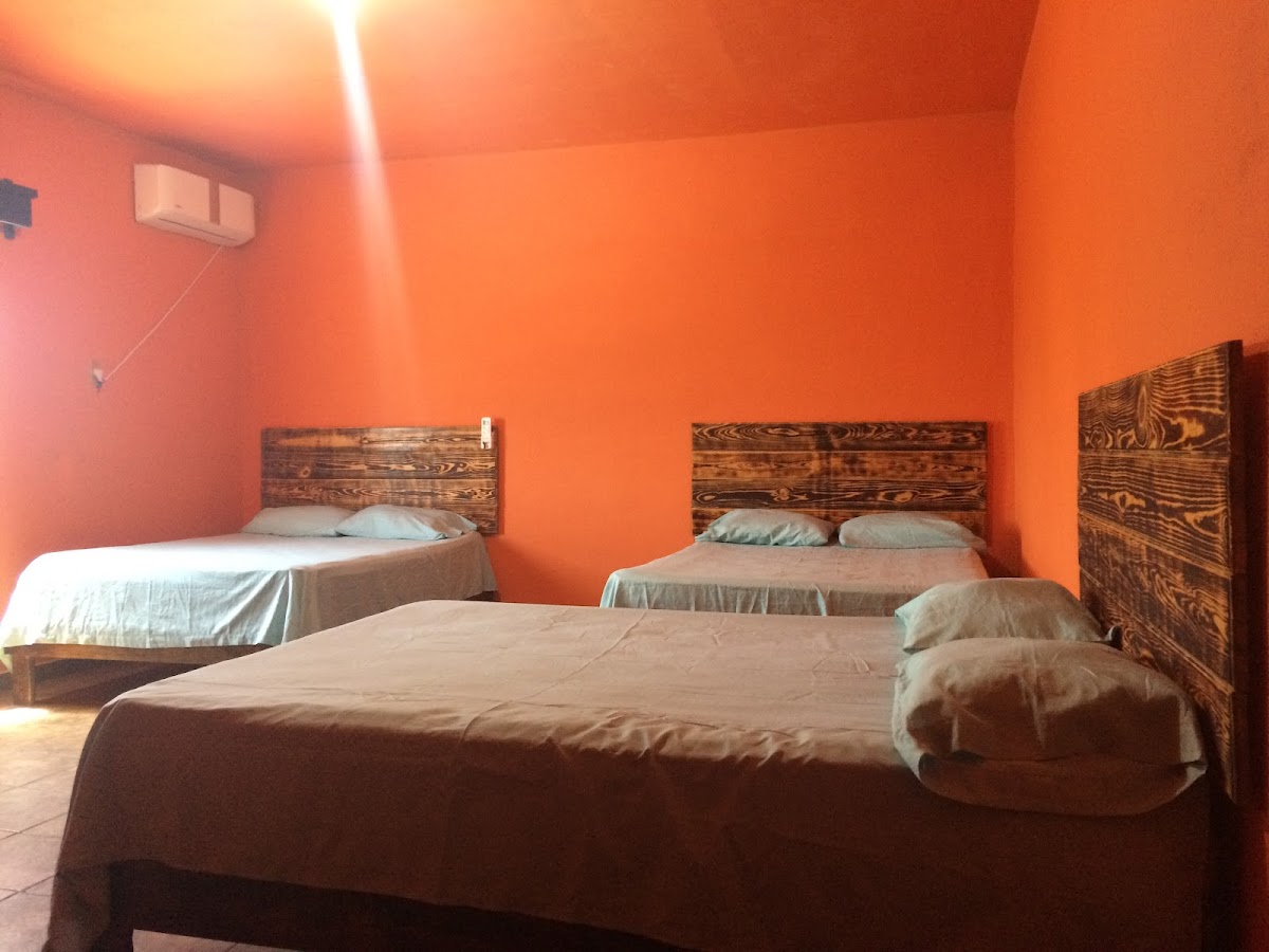 Hotel el Dorado photo 2