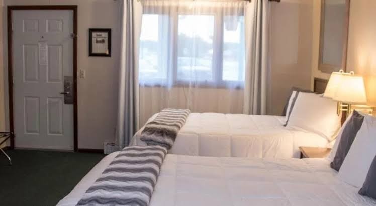 Park Motel photo 3