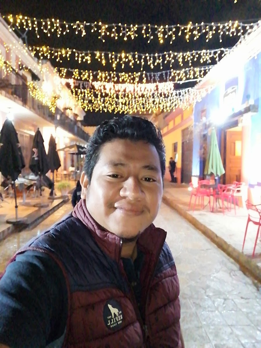 Hotel Posada MAYA photo 3