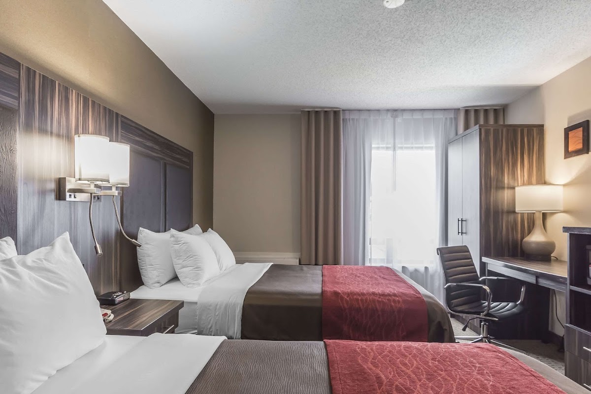 Comfort Inn photo 2