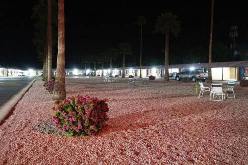 Starlite Motel photo 3