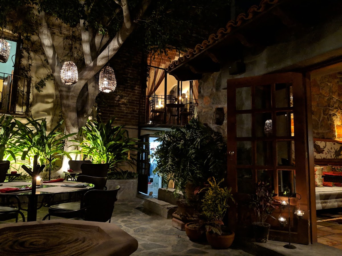 The Vibe B&B Urban Living In Todos Santos