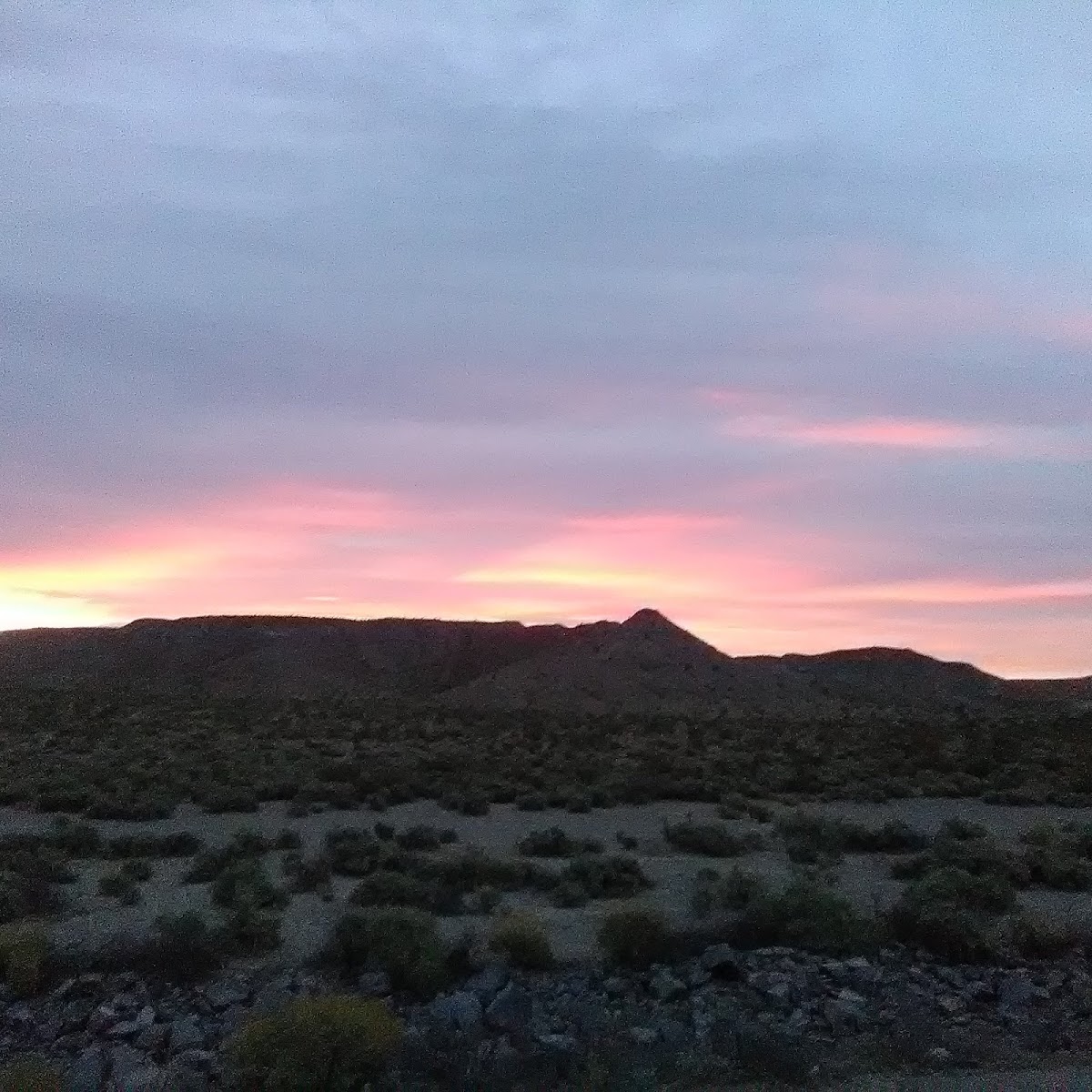 Sunshine Motel photo 3