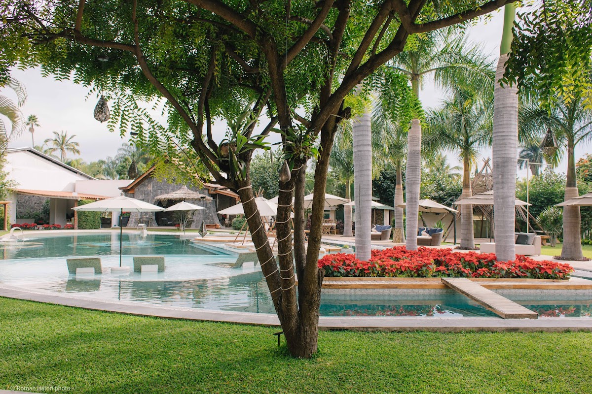 El Laurel Hotel Boutique photo 3