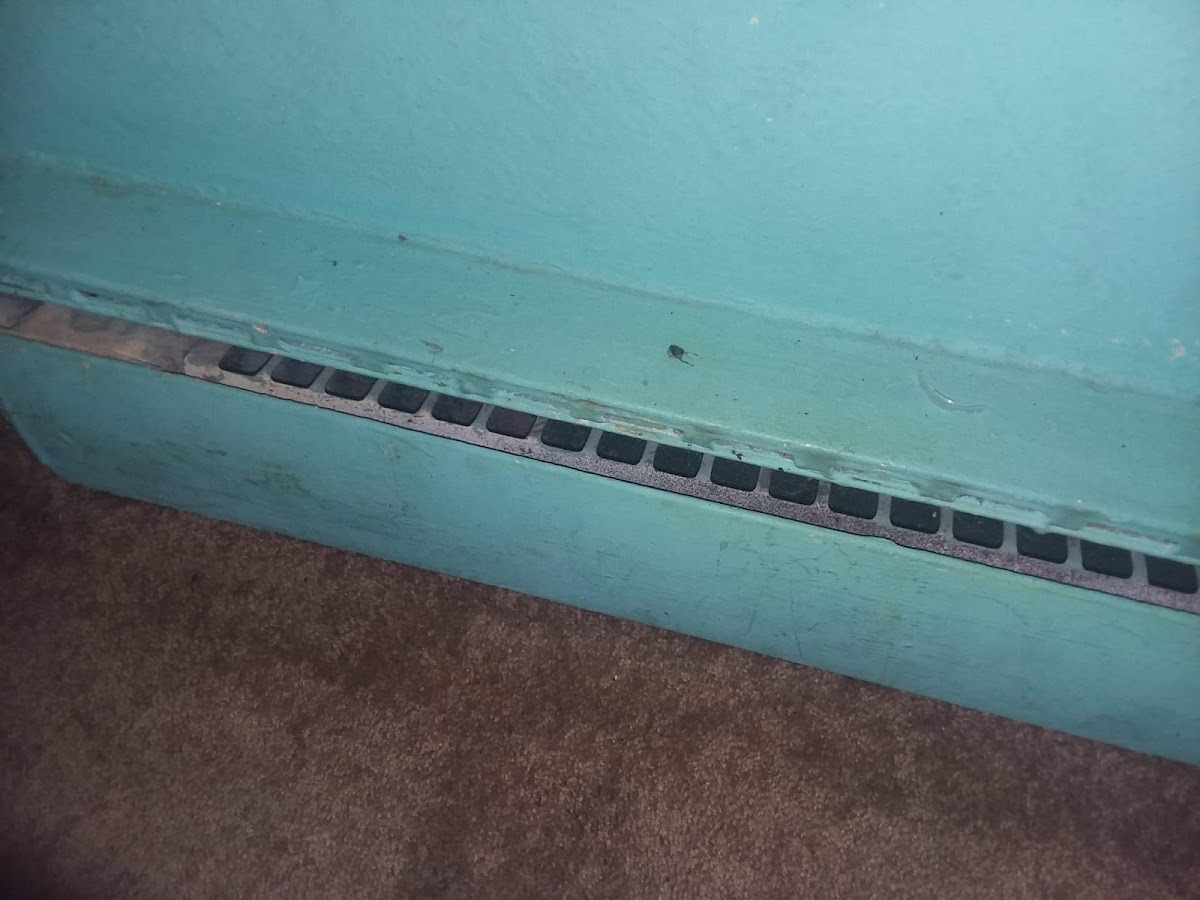 Relax Inn Motel photo 2
