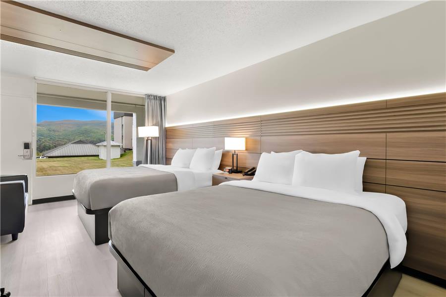 Quality Inn & Suites photo 2