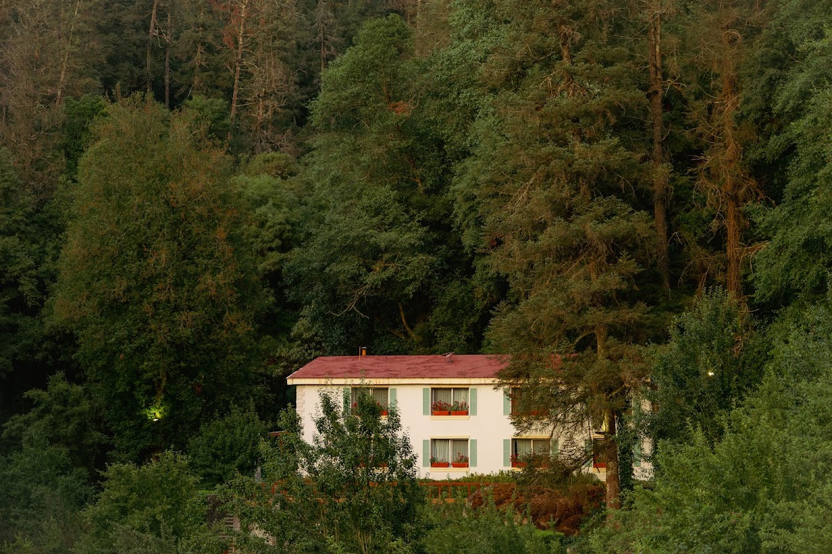 Hotel El Paraiso photo 3