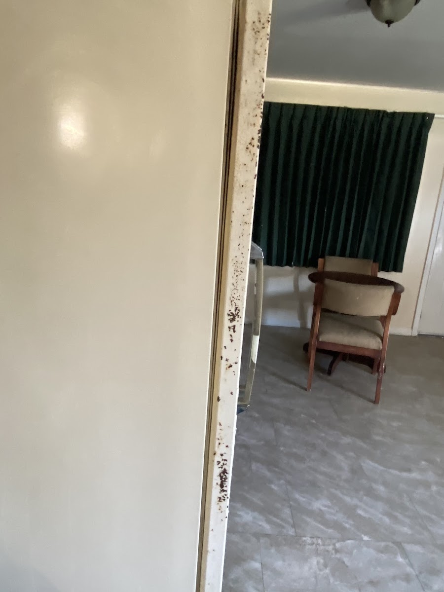Budget Inn photo 3