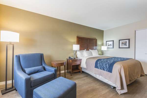 Comfort Inn photo 2