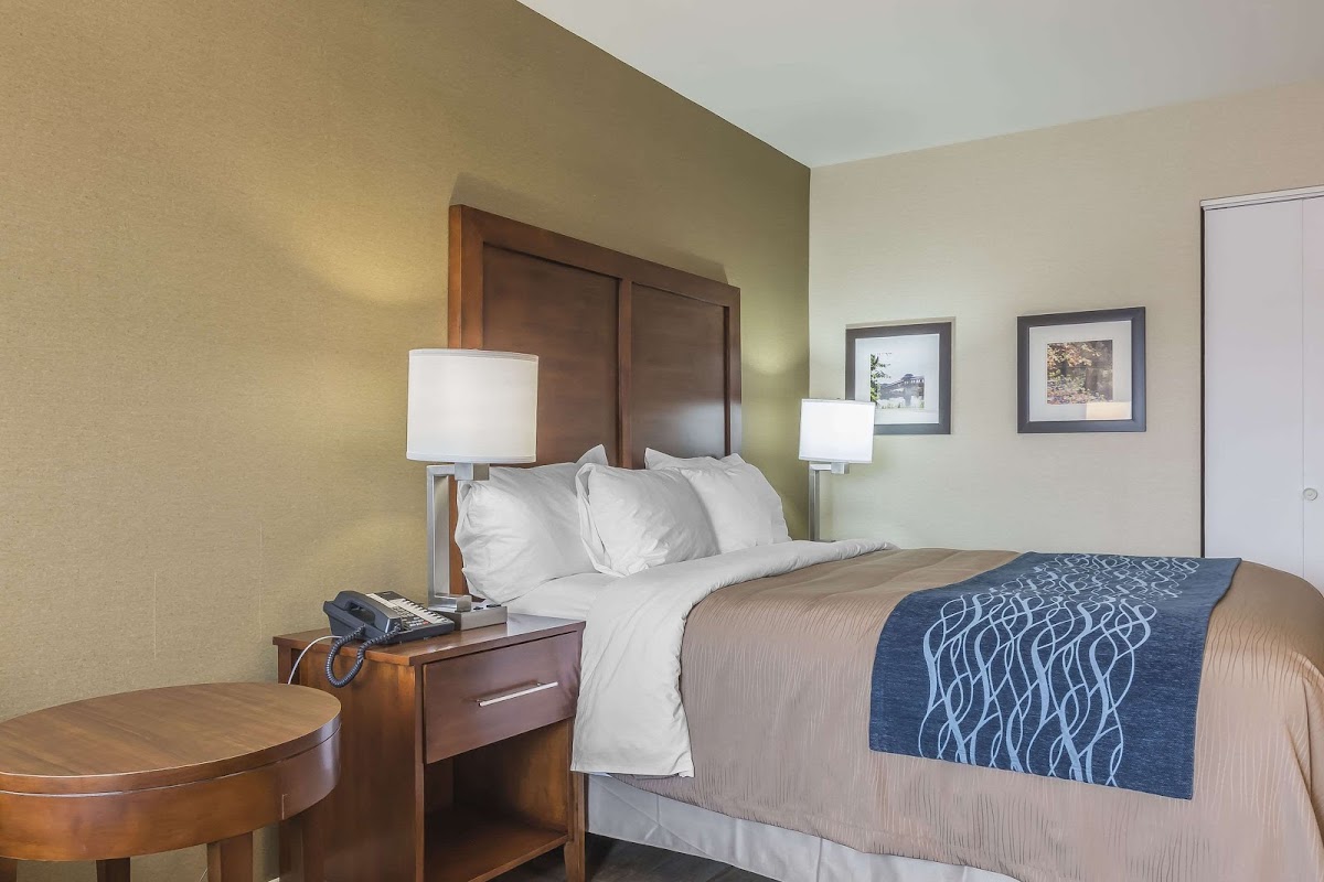 Comfort Inn photo 3