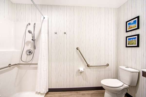 Comfort Inn & Suites photo 3