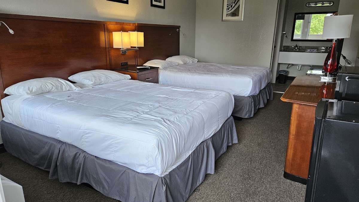Maple Tree Inn photo 2