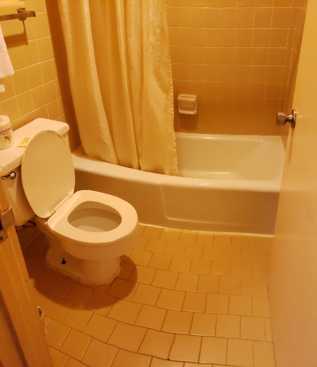 Winner's Circle Motel photo 3