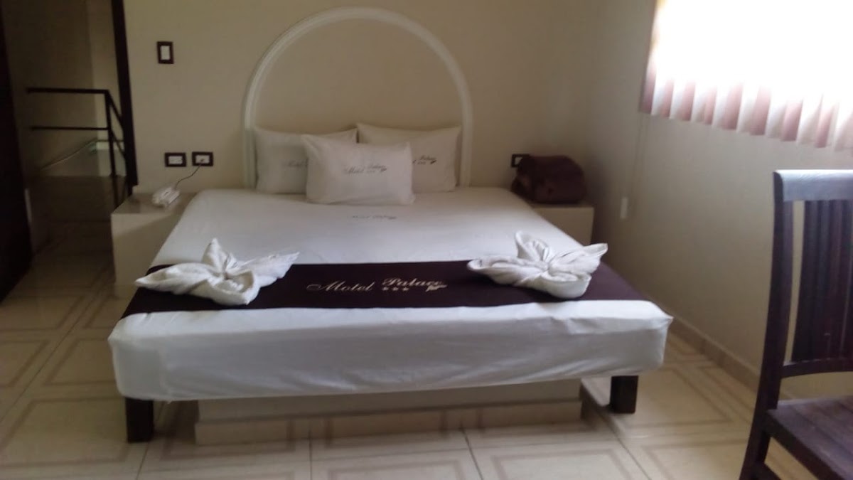 motel PALACE photo 2