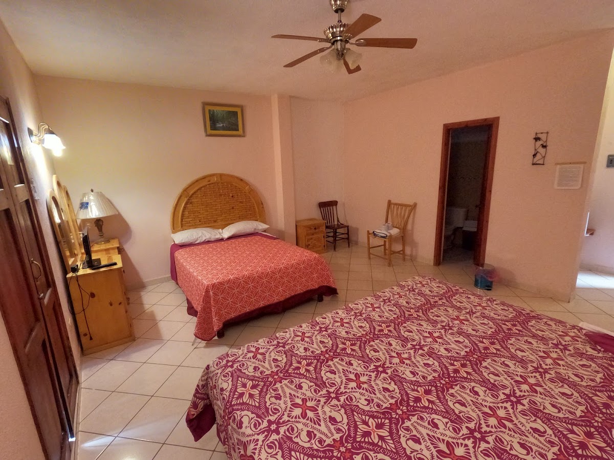 Hotel Plaza photo 2