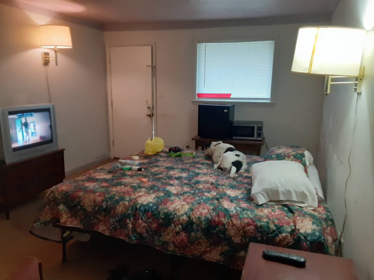 Holiday Motel photo 2