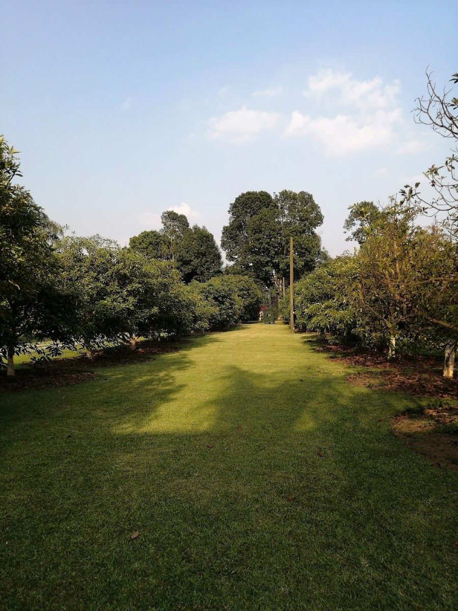 FINCA HASS photo 2