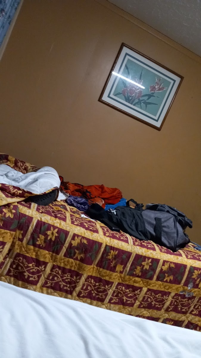 Budget Inn photo 3