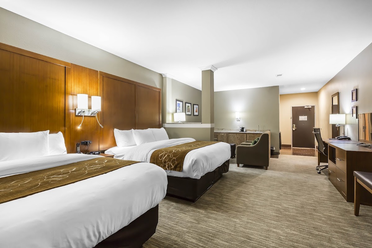 Comfort Suites University photo 2