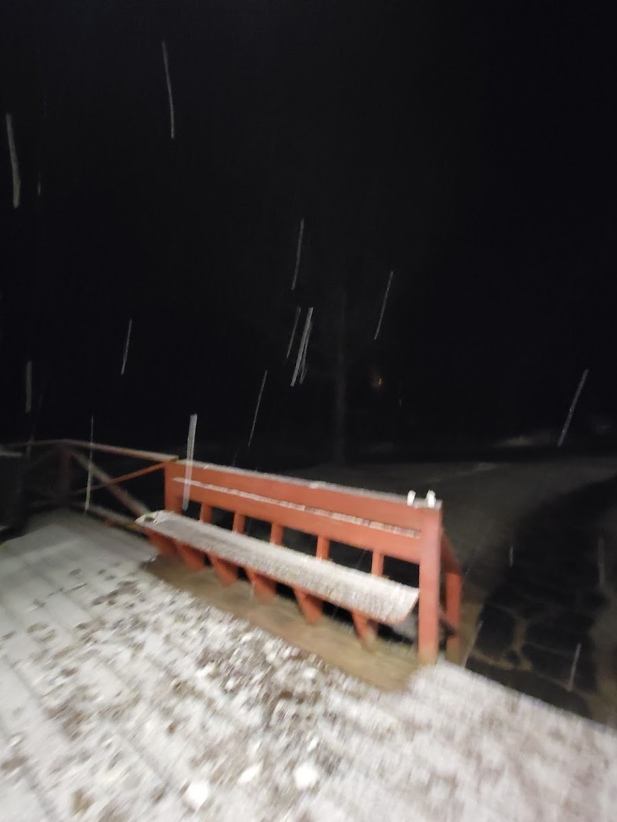 Snowbird Lodge photo 3