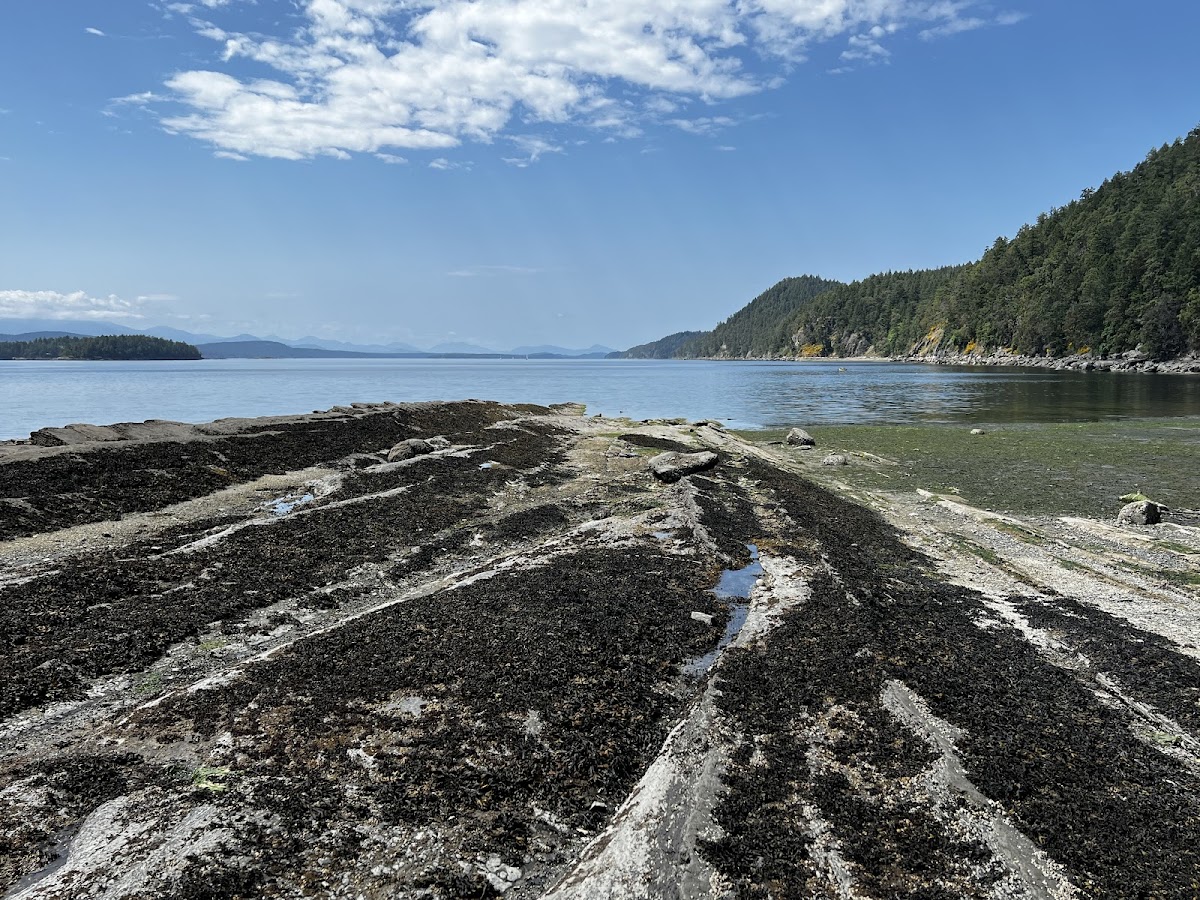 Montague Harbour Marine Provincial Park