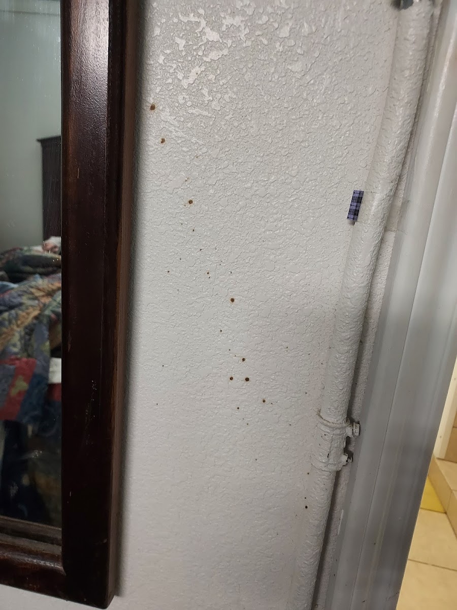 Budget Inn photo 3