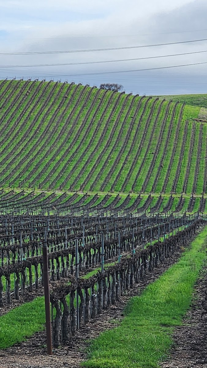 Livermore Valley