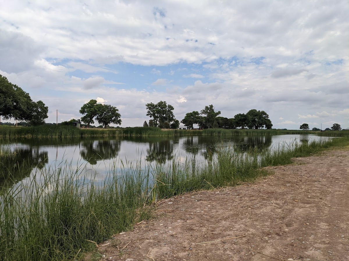 Fort Sumner
