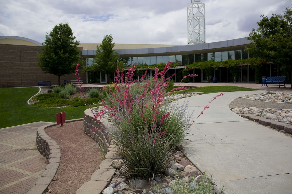 Farmington Museum