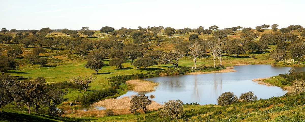 Almodovar Birding Center and Observatory