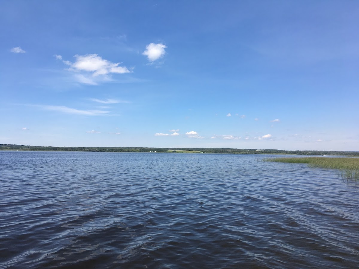 Sturgeon Lake