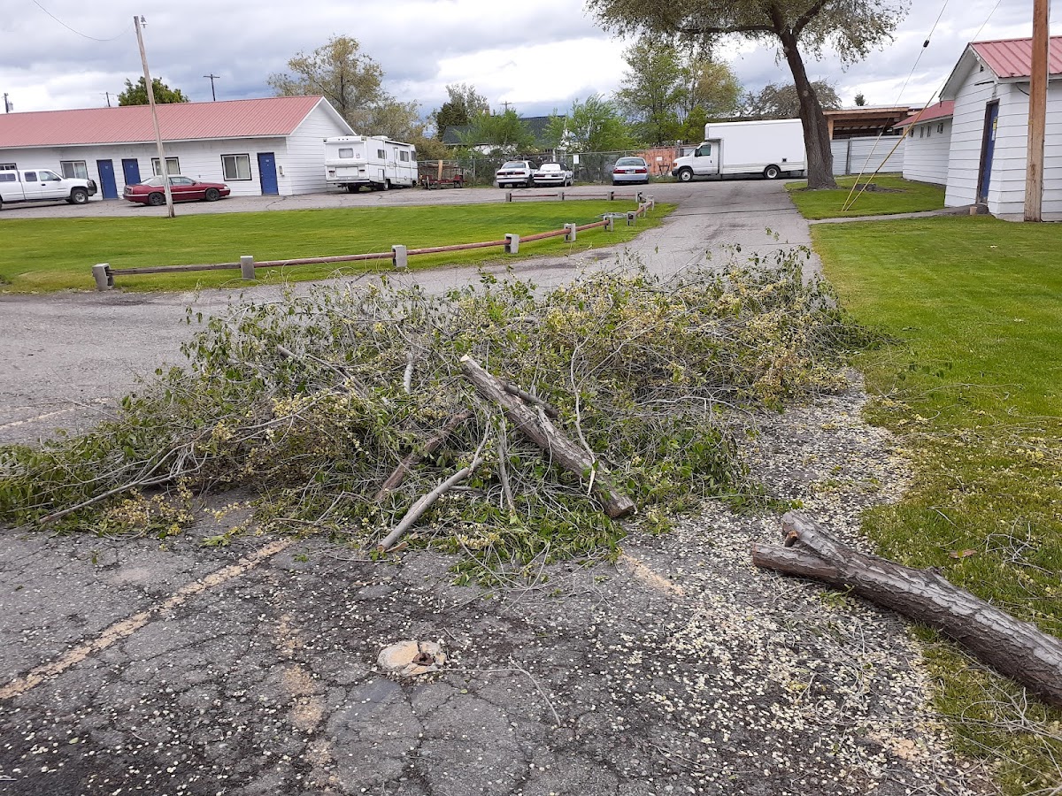 Alpine Inn of Kalispell